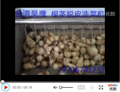 根茎脱皮洗菜机